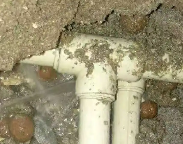 清苑测漏水多少钱