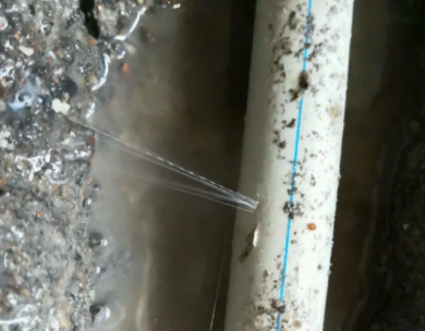 清苑测漏水哪家好