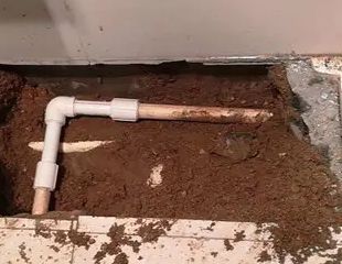 清苑测漏水哪家好