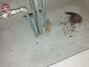 清苑卫生间测漏水价格明细