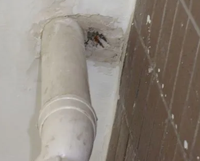 清苑漏水检测哪家好